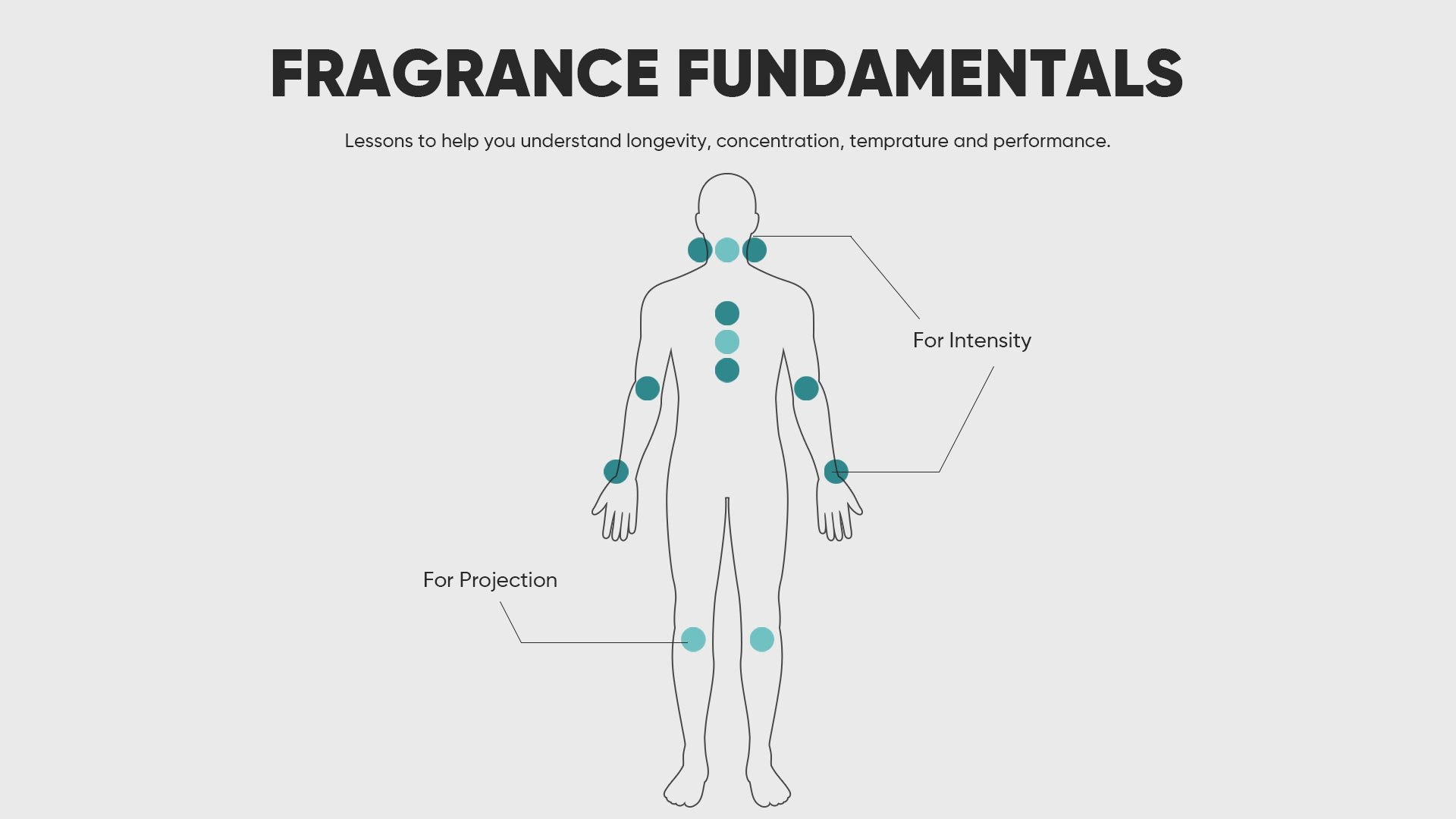 Fragrance fundamentals infographic covering longevity, concentration, temperature and performance